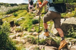 Pakkeliste fjelltur sommer